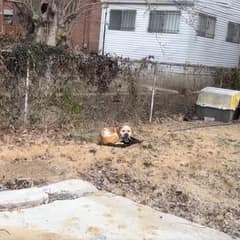 Chained Behind An Empty House, Louis Finally Felt Warmth Again