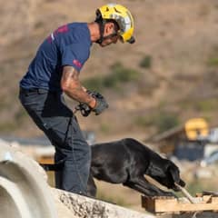 Shelter Dog No One Chose Becomes A Hero Who Finds People Buried In Rubble