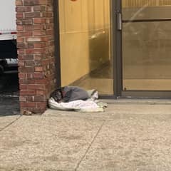 Tiny Dog Left On A Blanket In The Freezing Cold Shows Michigan Rescuers Her Brave Heart