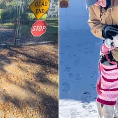 Tied Outside A Shelter Gate, Louisiana Was Still Waiting For Someone Kind