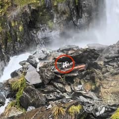 Molly Waited Seven Days Under the Waterfall for Her Mom