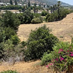 For Three Days, She Mistook a Frightened Puppy for a Coyote on the Hill