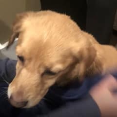 She Walked In From the Cold, and They Chose to Love Her