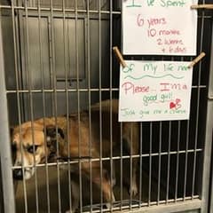 Ten Quiet Years Passed Before Love Finally Stayed For Ginger