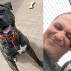 For 775 Days, Bob Watched Other Dogs Go Home Without Him