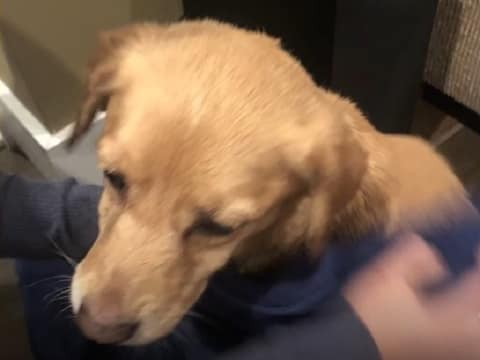 She Walked In From the Cold, and They Chose to Love Her