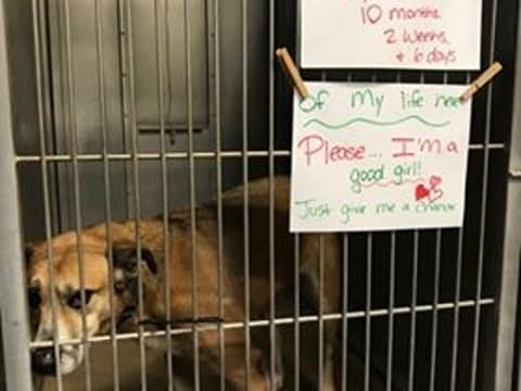 Ten Quiet Years Passed Before Love Finally Stayed For Ginger