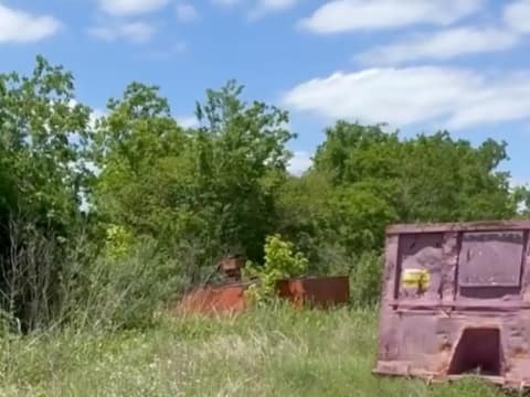 Frightened Mama Dog Hid Her Babies Beneath a Dumpster Until Love Found Them