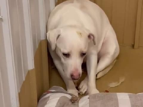 Mable Once Shook at Every Touch, but Patient Love Helped Her Feel Safe