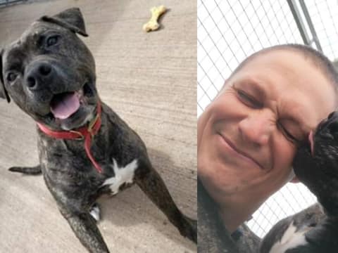 For 775 Days, Bob Watched Other Dogs Go Home Without Him