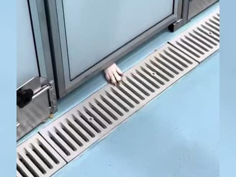 Ellie Reaches One Small Paw Beneath Her Kennel Door, Hoping Love Will Reach Back