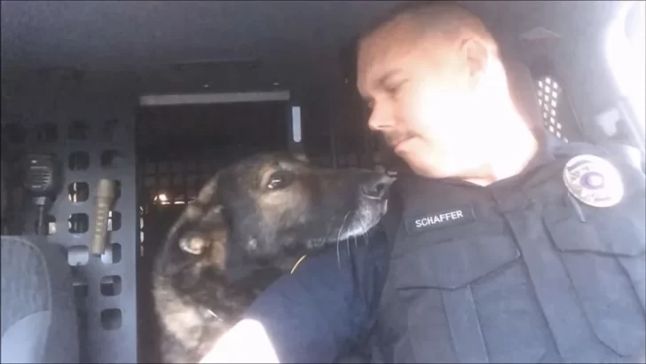 Heroic K-9 Faust Retires After 8 Years of Service, Shares Emotional Goodbye With His Handler