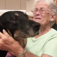 Brave Pup Sneaks Out From Shelter To Hang Out With Nursing Home Residents