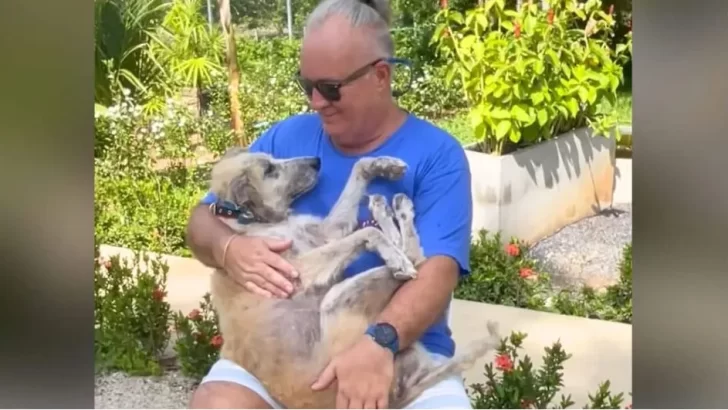 Street Dog Named Lady Gets a Second Chance at Happiness