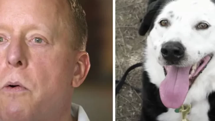 A Sweet Rescue Dog Helps a Man Find His Way Back to Health