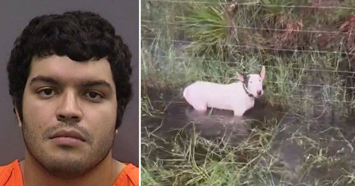 Florida Man Charged with Animal Cruelty After Abandoning Dog Ahead of ...