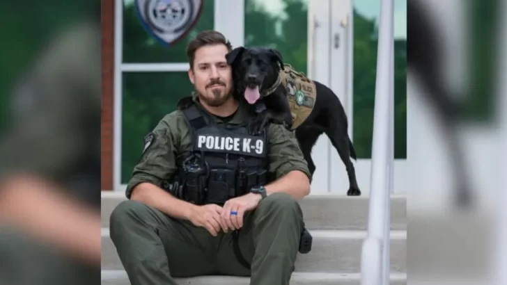 Hero Police Dog Raider Keeps Communities Safe and Shares Her Love With Her Best Friend