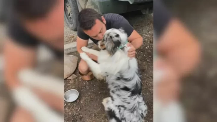 Texas Woman Wondered Why Her Husband Refused a Dog—Until She Learned the Heartbreaking Truth