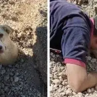 Buried in Silence: A Mother's Desperate Cry Leads to a Miracle Rescue