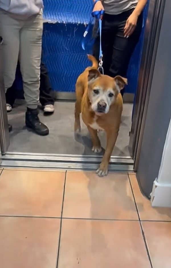Source: @humanemiami