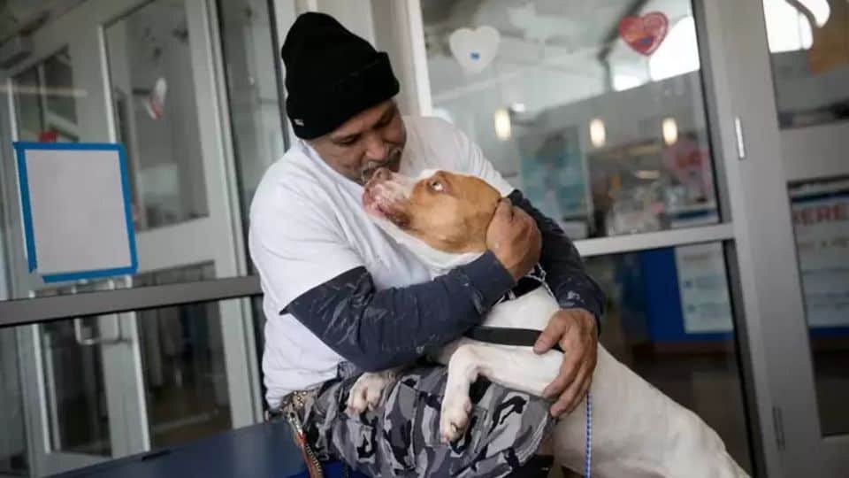 The Heartwarming Reunion of a Man and His Pit Bull After a Painful ...
