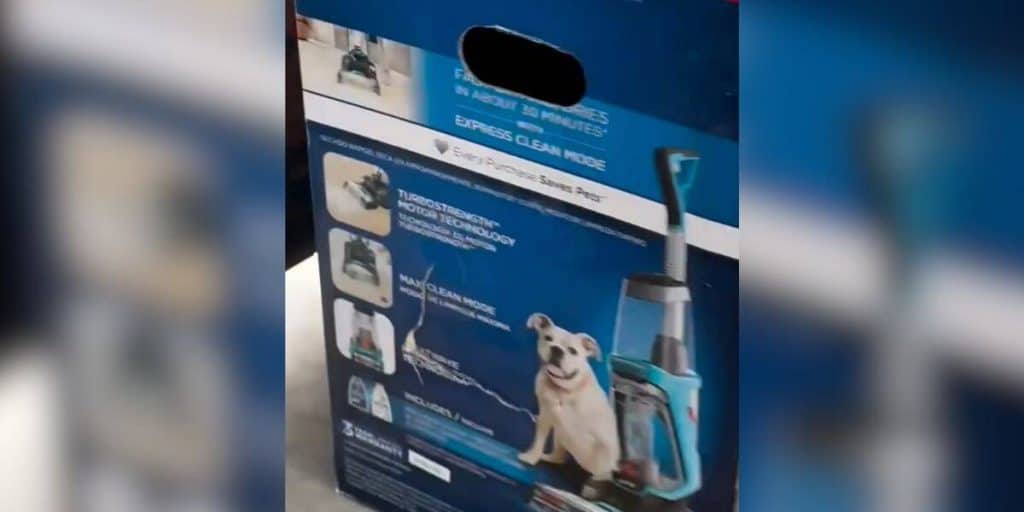 Shelter Staff Find a Carpet Cleaner Box at the Gate and Realize a Dog Is Trapped Inside - photo 1