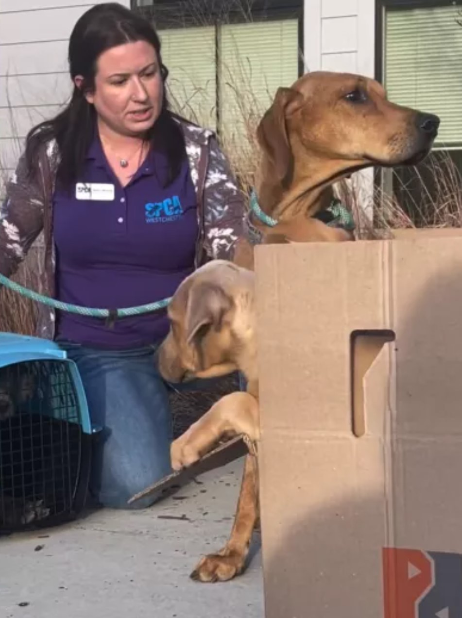 Nora rescue photo