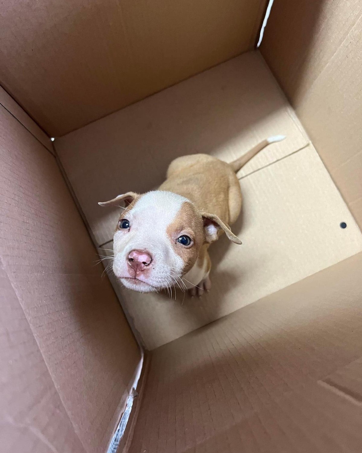 Gibbs rescue photo