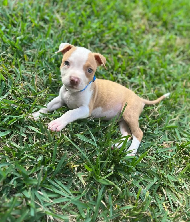 Gibbs rescue photo