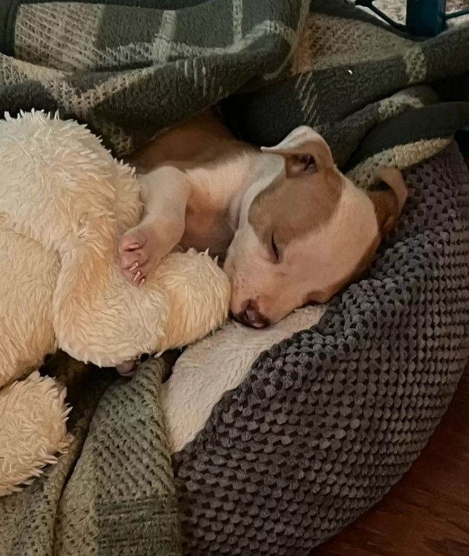 Gibbs rescue photo