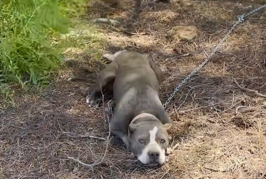 Maya rescue photo
