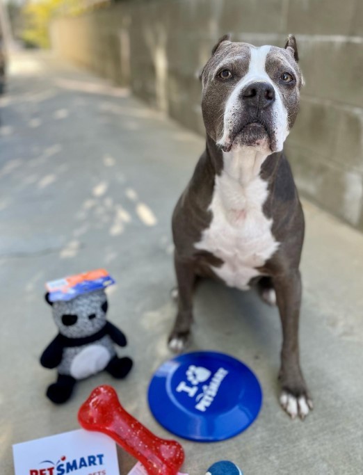 Maya rescue photo