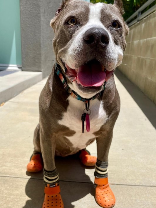 Maya rescue photo
