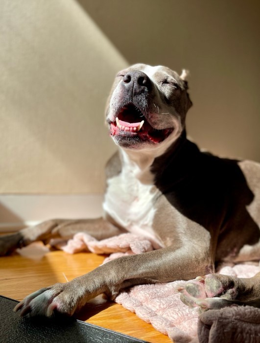 Maya rescue photo