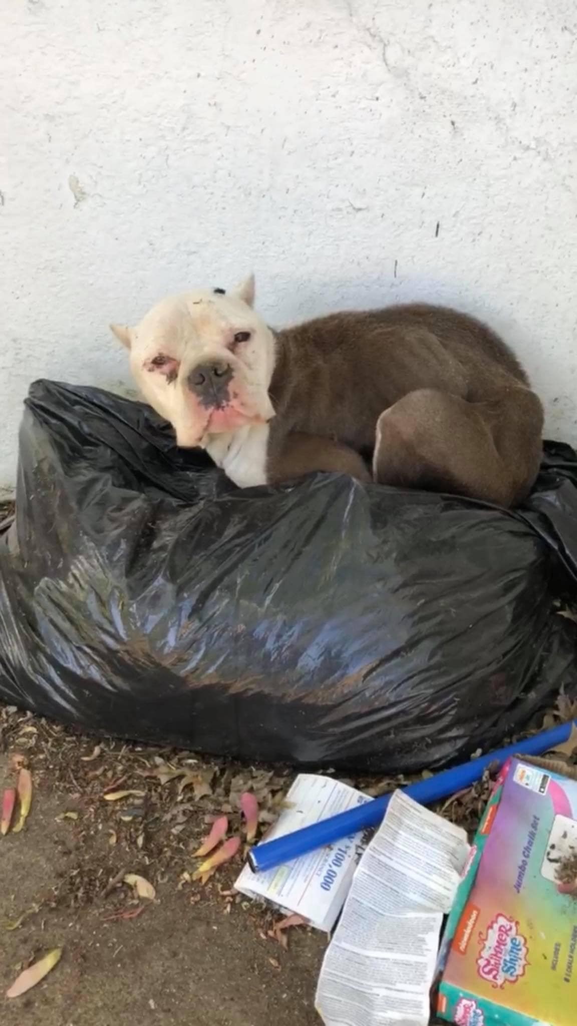 Lakita rescue photo