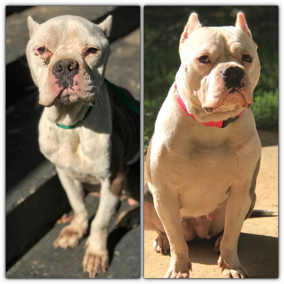 Lakita rescue photo