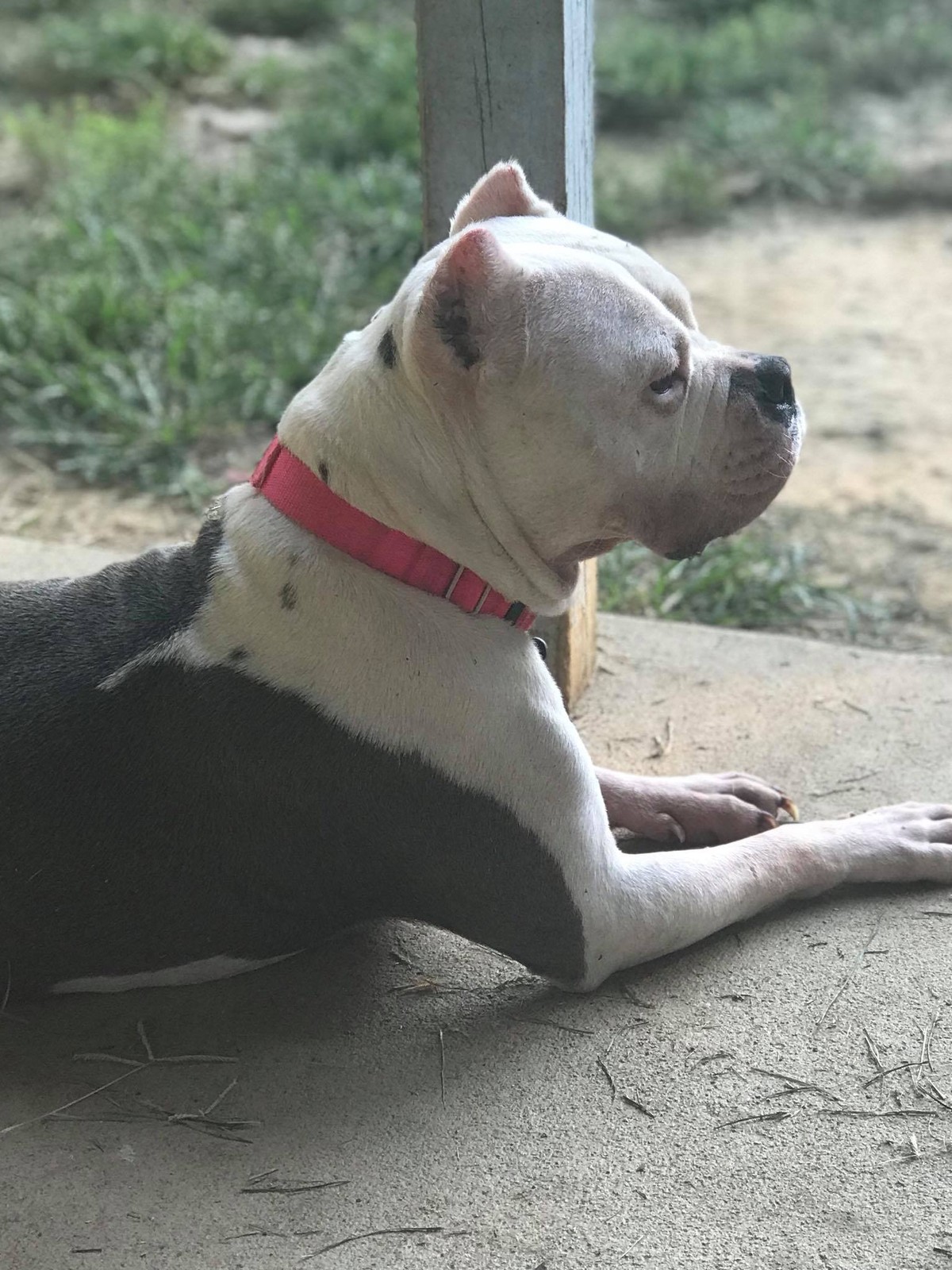 Lakita rescue photo