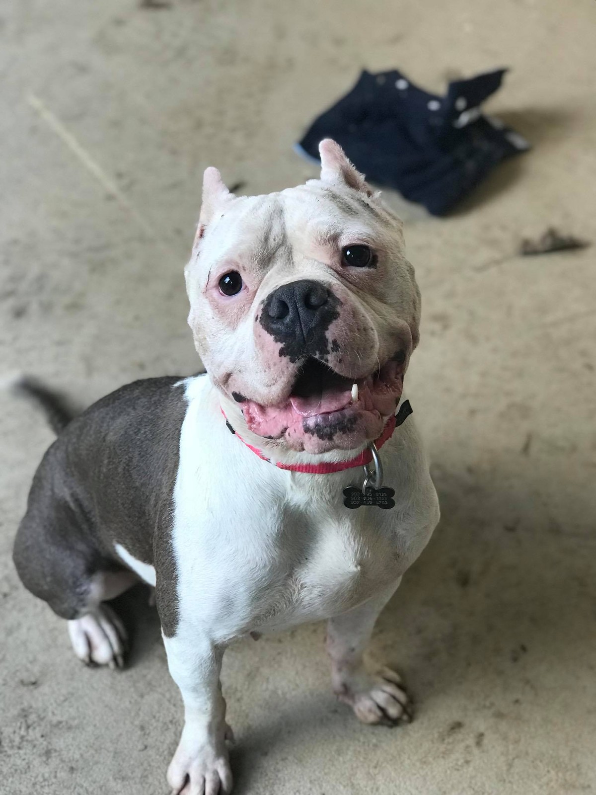 Lakita rescue photo