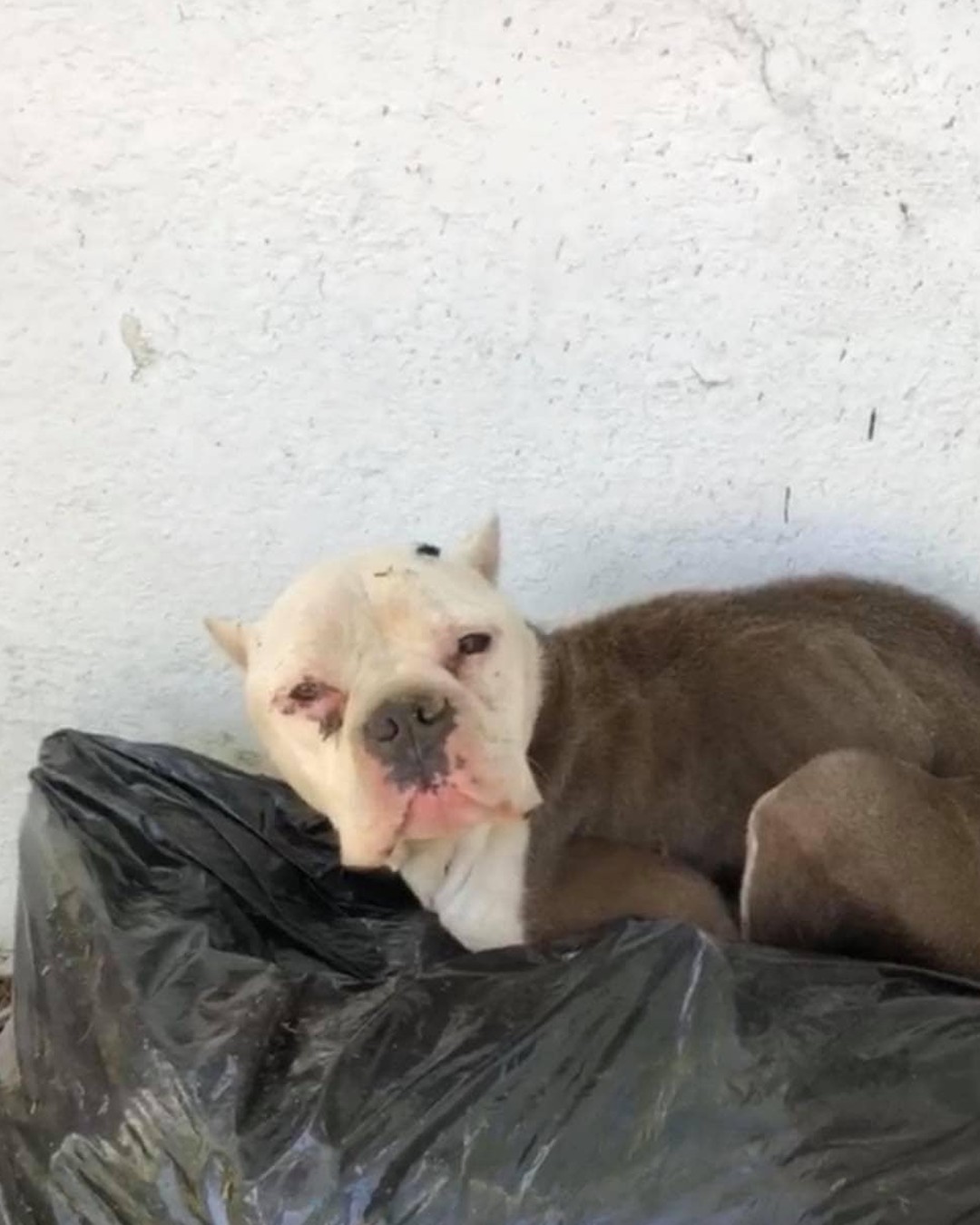 Lakita rescue photo