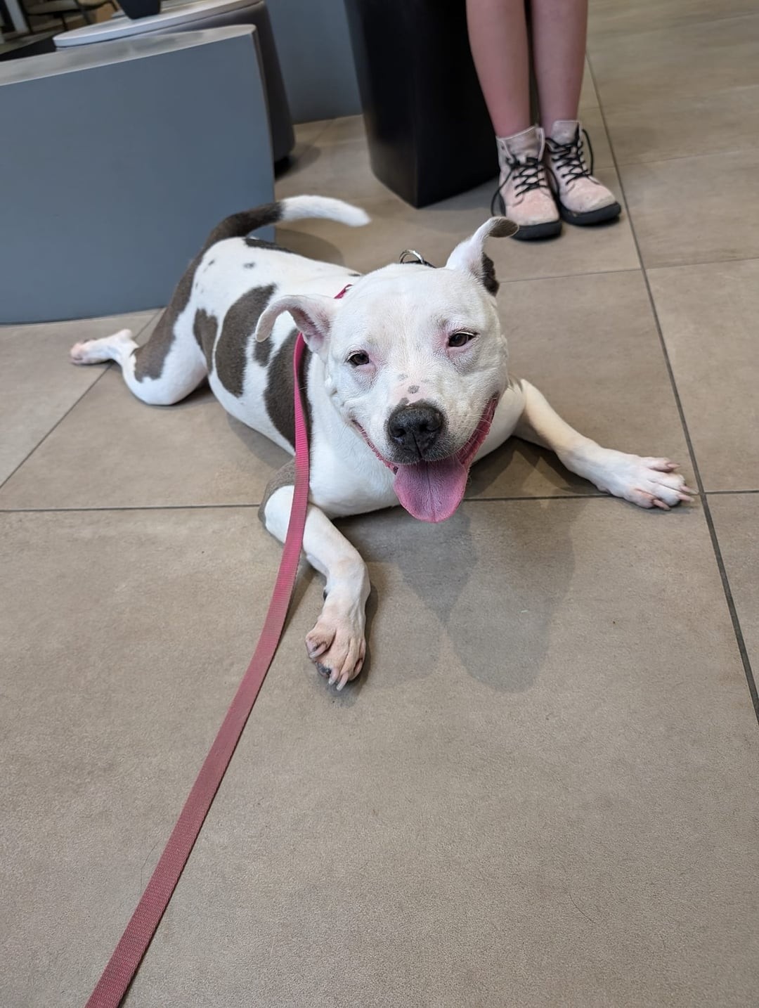 Mara rescue photo