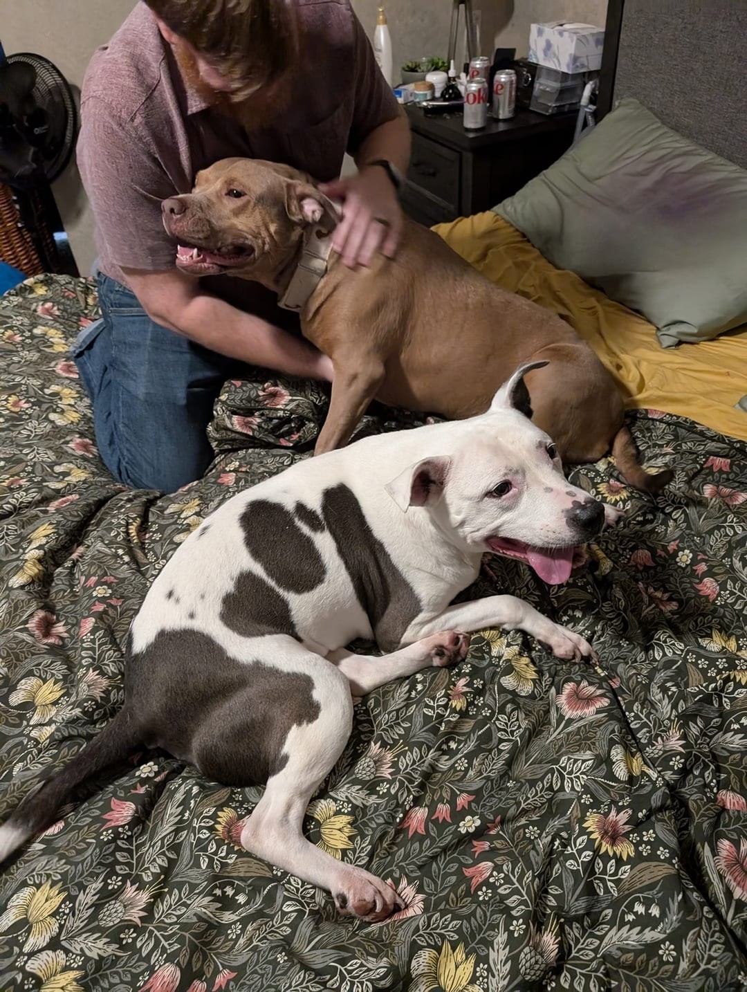 Mara rescue photo