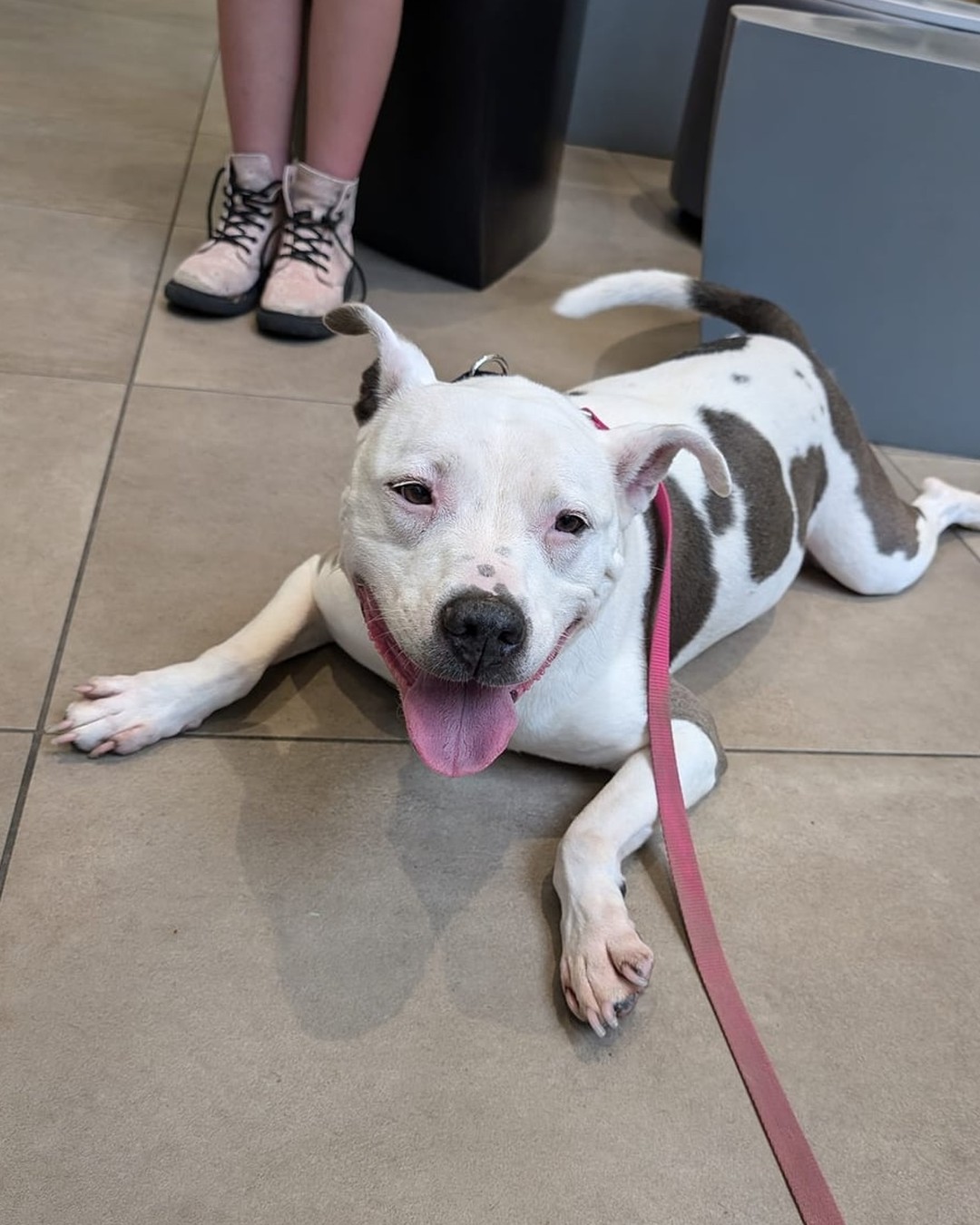 Mara rescue photo