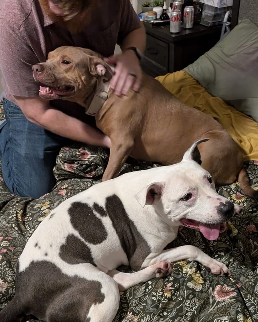 Mara rescue photo