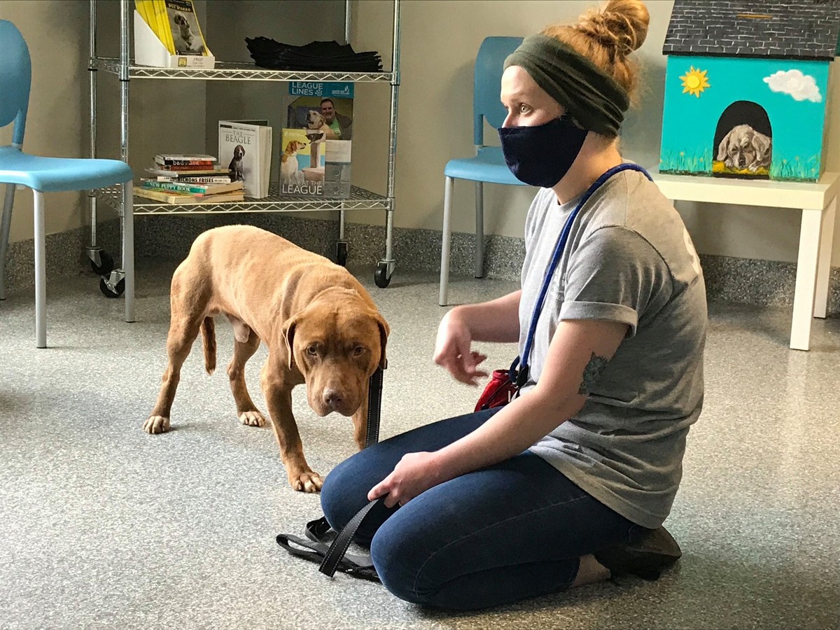Billy Bob rescue photo