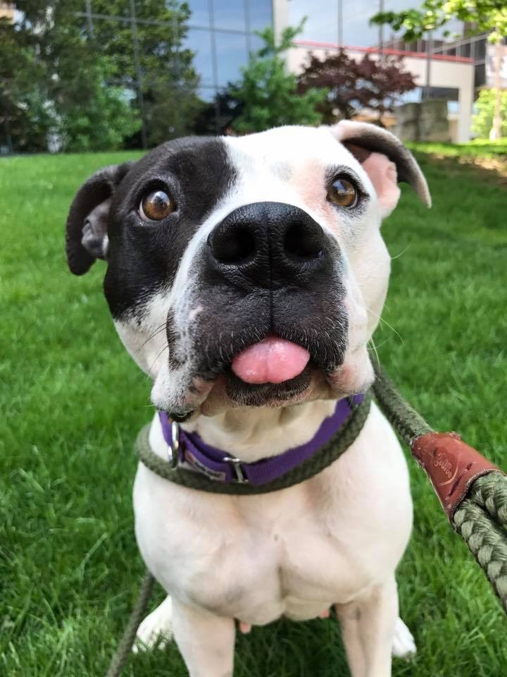 Jumping Bean rescue photo