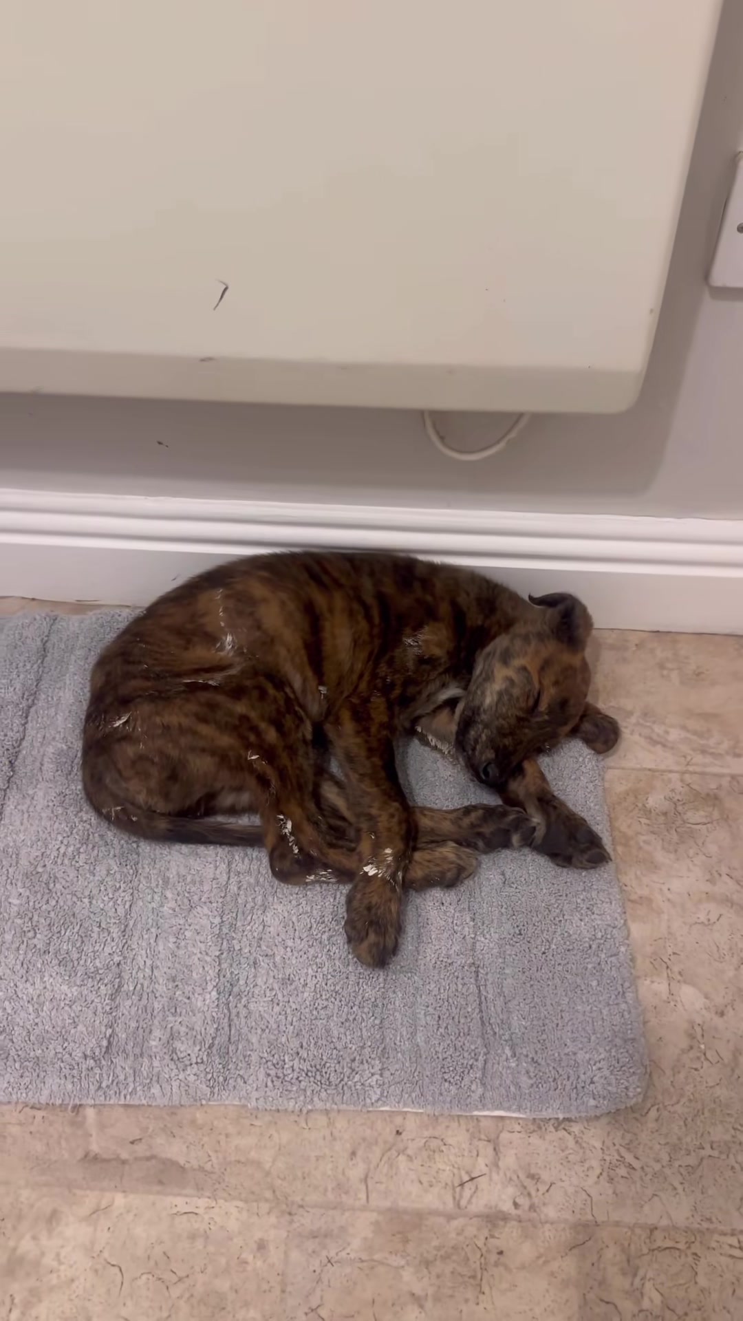 A brindle puppy with pale residue on his fur rests curled on a gray bath mat.