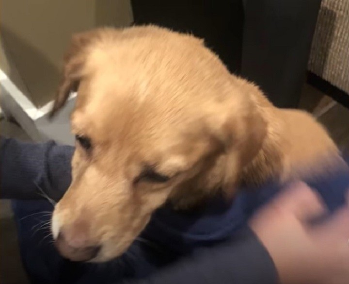 She Walked In From the Cold, and They Chose to Love Her