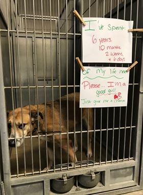 Ten Quiet Years Passed Before Love Finally Stayed For Ginger