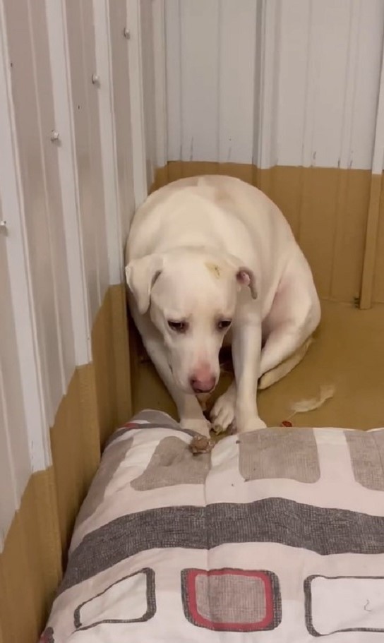 Mable Once Shook at Every Touch, but Patient Love Helped Her Feel Safe