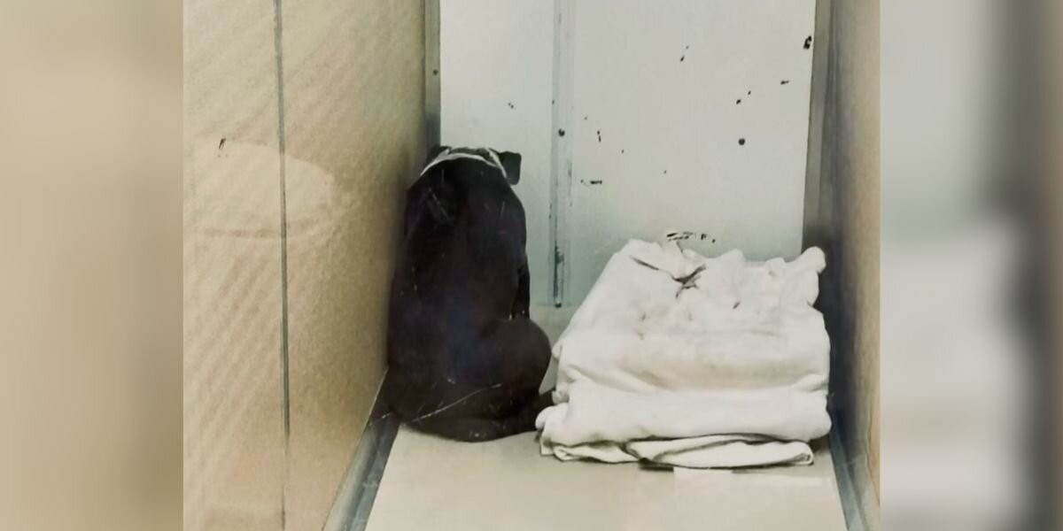 Homer Faced The Wall After Losing His Home, Then Love Found Him Again